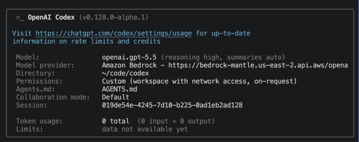 A Codex CLI session reporting its active model and provider